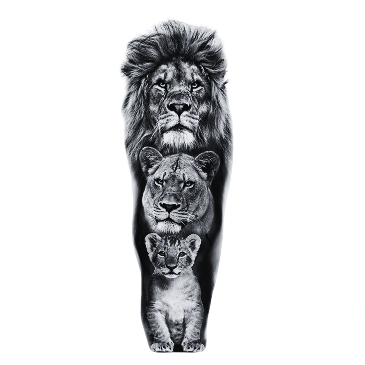 Aslan ailesi Kol Kaplama Geçici Dövme G331 MyTattoo