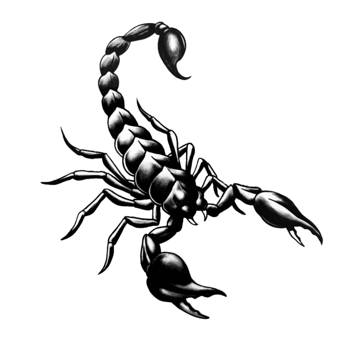 Zehirli İğne Minimal Boy Yarı Kalıcı Dövme MY252 MyTattoo