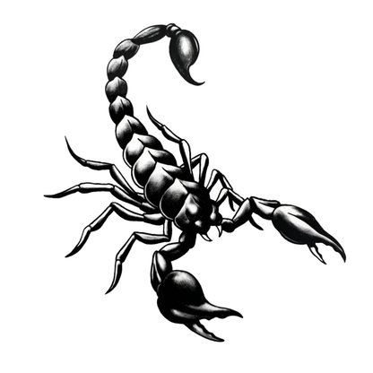 Zehirli İğne Minimal Boy Yarı Kalıcı Dövme MY252 MyTattoo