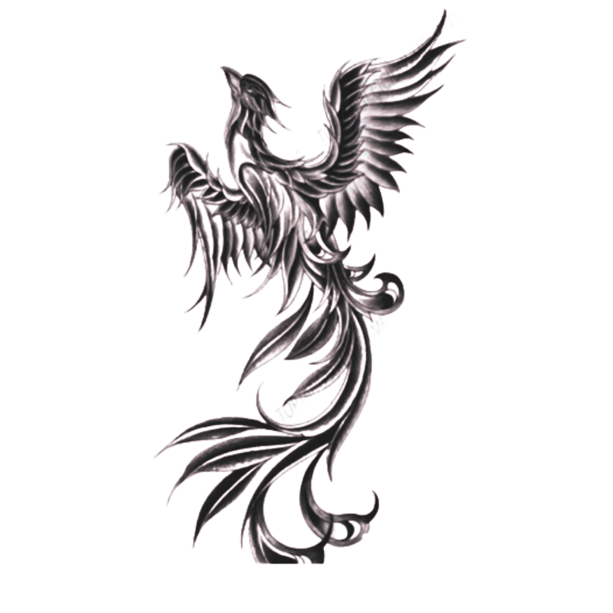 Anka Kuşu Figürlü Orta Boy Yarı Kalıcı Dövme-MY69 MyTattoo
